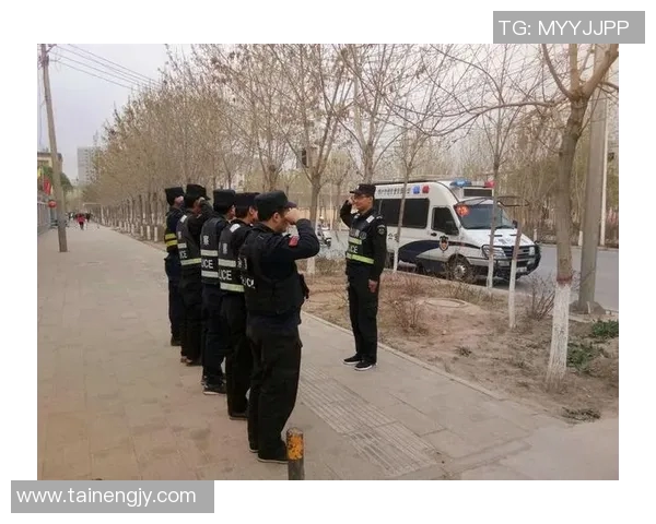 布拉格与亮剑的对决探讨历史与文化的交融与碰撞